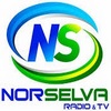 NorSelva TV