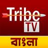 Tribe TV