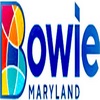 Bowie TV