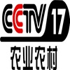 CCTV-17