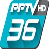 PPTV HD 36 TV