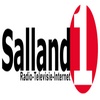 Salland1 RTV