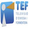 TEF TV